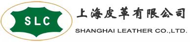 上海皮革有限公司